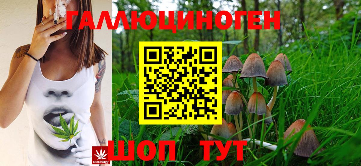 Феодосия  Псилоцибиновые грибы Psilocybine cubensis  Вход с VPN 